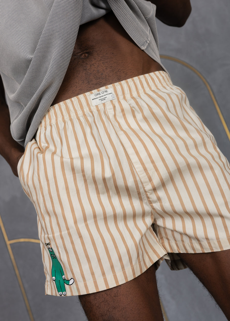 HELI-CAT Boxers 🚁🐱